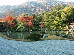 天龍寺の庭園の紅葉の画像