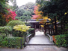 宇治上神社の紅葉の画像