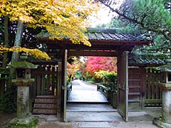 宇治上神社の紅葉の画像
