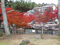 宇治川と天ヶ瀬ダムの紅葉の画像