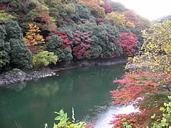 宇治川と天ヶ瀬ダムの紅葉の画像