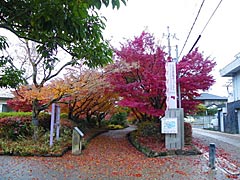 仏徳山（大吉山風致公園）の登り口近くの紅葉の画像
