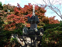善峯寺の紅葉の画像