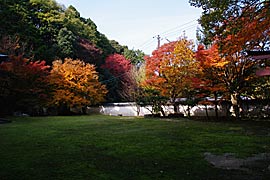 善能寺の紅葉の画像