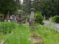 �O�c����̕�@��c�R��n�̉摜