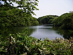 宝達山の夫婦池（雄池）の画像