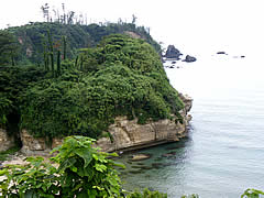 黒崎岬の画像