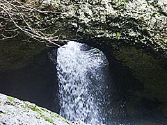 ����̉摜