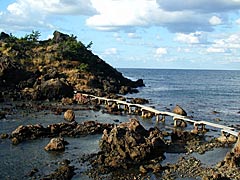 大崎島の画像