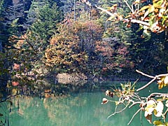 漆谷池の紅葉の画像