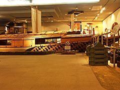 滋賀県立琵琶湖博物館の人と琵琶湖の歴史展示室の画像