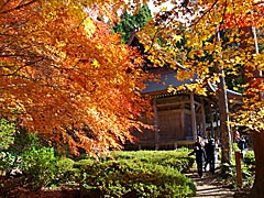 石道寺の紅葉の画像