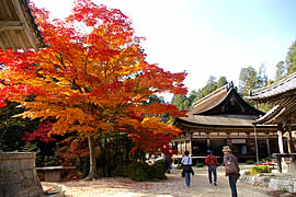 善水寺の紅葉の画像