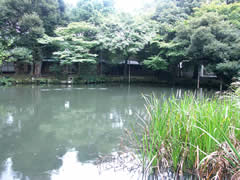 松風閣庭園の霞ヶ池の画像