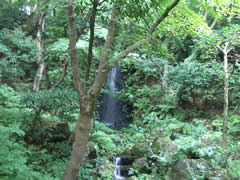 辻家庭園の滝の画像