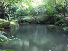 辻家庭園の池の画像