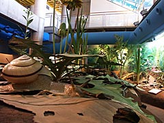 エンゼルランドふくい（福井県児童科学館）の原っぱの生き物たちの画像