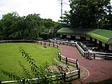 足羽山公園遊園地の画像　福井県の観光地
