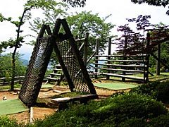 足羽山公園遊園地のフィールドアスレチックの画像