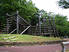 足羽山公園遊園地のフィールドアスレチックの画像
