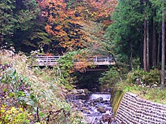 弁ヶ滝の紅葉の画像