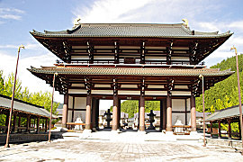  大師山清大寺 越前大仏の画像