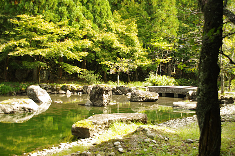  大師山清大寺 越前大仏の画像