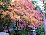 永平寺の画像　福井県の観光地