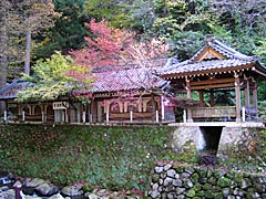 永平寺の紅葉の画像