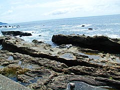 越前海岸の弁慶の洗濯岩の画像