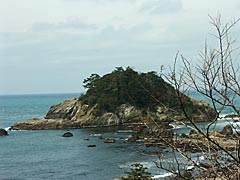 越前海岸の亀島の画像