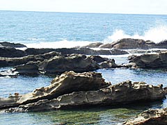 越前海岸の弁慶の洗濯岩の画像
