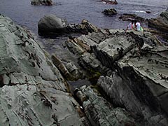 越前海岸の軍艦島と鬼の洗濯岩の画像