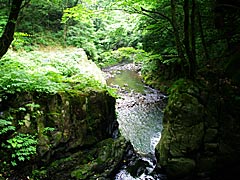五太子の滝の流れの落下地点の画像