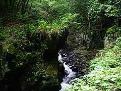 五太子の滝近辺の峡谷の画像