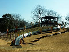 福井県総合グリーンセンター　グリーンパーク　草すべりの丘の画像