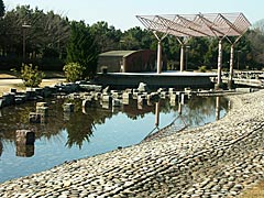 福井県総合グリーンセンター　グリーンパーク　あめんぼうの形をした水上アスレチックの画像