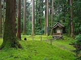 平泉寺白山神社の画像　福井県の観光地
