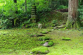 平泉寺白山神社の画像