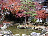 花筐公園の画像　福井県の観光地