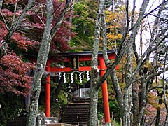 花筐公園　金刀比羅神社への参道入口の画像