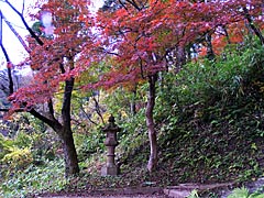 花筐公園　金刀比羅神社への遊歩道の画像