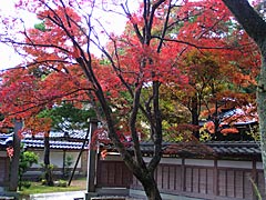 花筐公園　岡太神社拝殿近辺の画像