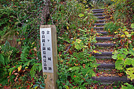 金ヶ崎城跡の画像