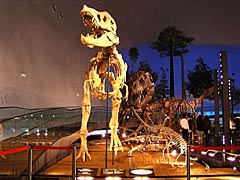 福井県立恐竜博物館の画像