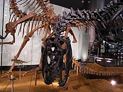 福井県立恐竜博物館の画像