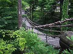 池田町自然歩道から見たかずら橋の画像