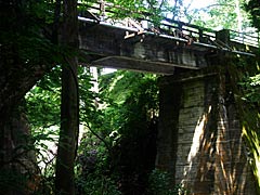 かずら橋周辺の志津原リゾートのかずら橋下流の橋の画像