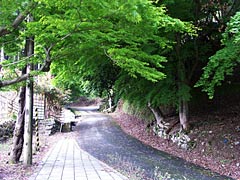 若狭鯖街道　熊川宿　松木神社の画像