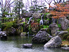 桜の丸岡城霞ヶ城公園の画像